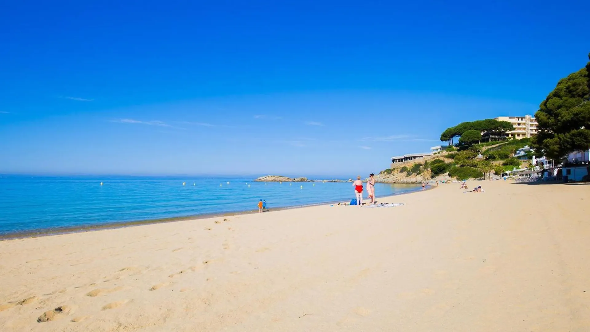 Magnifico Apartamento Renovado En Primera Linea De Playa Con Terraza, Piscina Y Parking, Roses - Es-228-109 Espagne